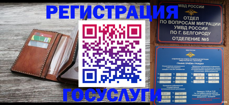 временная регистрация гарантия в Мурманской области